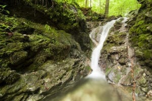river-running-through-forest