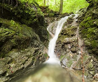 river-running-through-forest